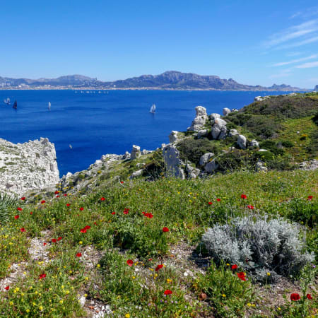 Week-end Marseille Découverte Sport & Culture