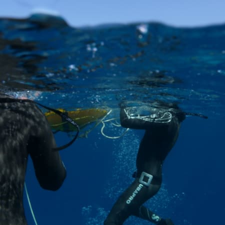 Découverte apnée 5 jours