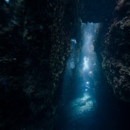 Plongée autonome Parc des Calanques 5 jours