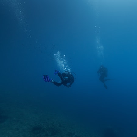 Plongée exploration profonde Parc des Calanques - Sans hébergement