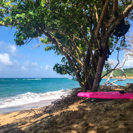 Surf & Multiglisse 8 jours