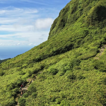 Trail performance autour de la montagne Pelée 8 jours