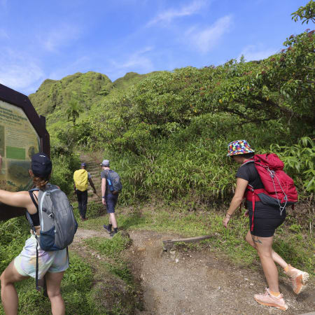 Plongée Autonome & Randonnée Caraïbes 15 jours