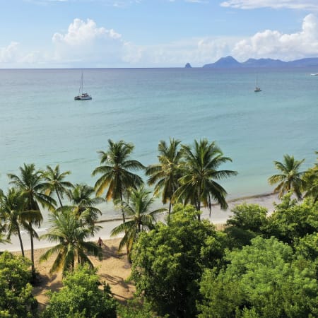 Pack Bon Plan Martinique 11 jours